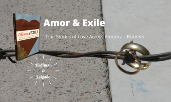 Amor and Exile book